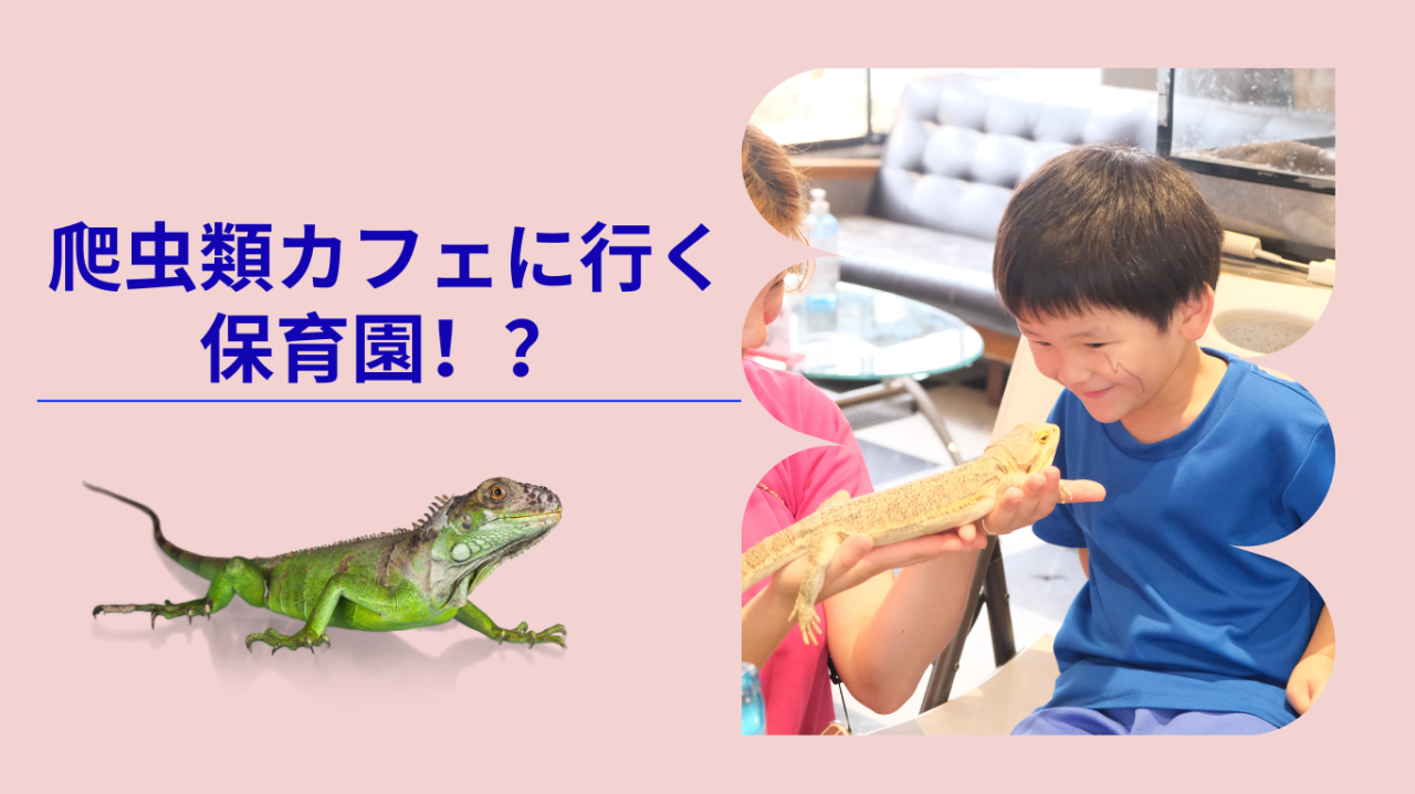 爬虫類カフェに行く、保育園🦎！？